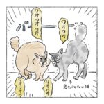 みんな、猫が心配