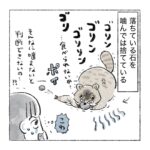 新キャラ②