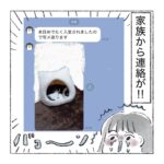 猫ドーム、ウキウキ！涙