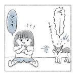 ジンワリ