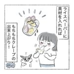 ライスペーパー狂