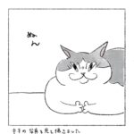 逆らえないから隠れンの
