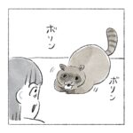 もうどうなってんの　新キャラ