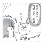年に何回かある、犬騙し