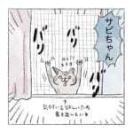 サビちゃんの雨宿り