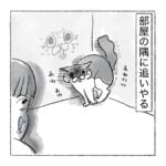 キキとの鬼ごっこおさらい