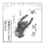 黒猫のクロちゃん
