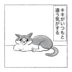一気に歳をとった気がする