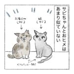 見た目が似てない猫親子