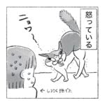 熊のようなキキ