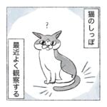 ワタクシの周りの尻尾