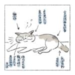 ボス猫観察日記