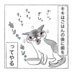 キキのクセ