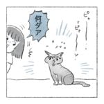 人間に甘える野良猫