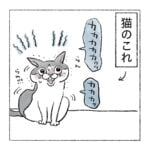 セミ　どこへ？