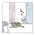 おヒメが家にきた！🏠