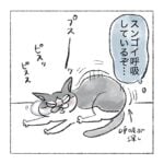 キキの時々あるやつ