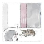 夜のサビちゃん