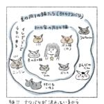 前髪くんはナワバリ外