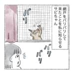 バリバリって鳴ることあんの？