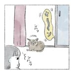 サビちゃんとシッコ