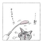 初めての猫じゃらし