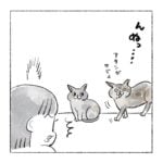 サビちゃん…？じゃないわ