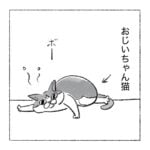 ジジ猫　無反応
