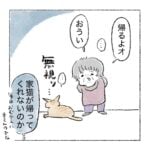ぬぼんぬの新情報