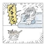 なんでいンの？