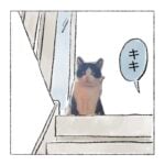 フワフワ、すやすやキキ