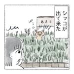 大量のシッコ(語弊あり)