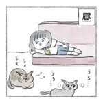 何でもかんでも来る🏡