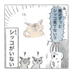 シッコまた居ないぞよ