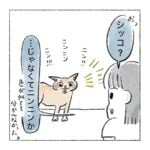 赤いねこだらけ