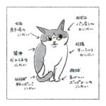 いいにおいの動物