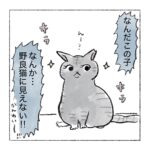 おヒメ👸🏻ギャップ