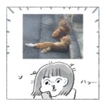 ぬぼんぬのカンケイ