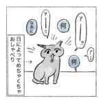 おヒメのコミュニケーション