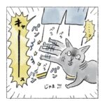 猫のまちだからしょうがない